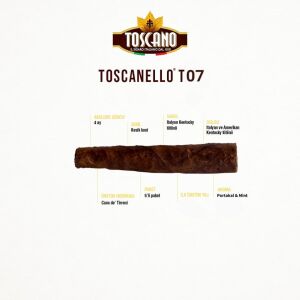 TOSCANELLO T07 TURCHESE